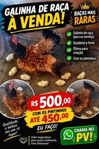 Raças mais raras