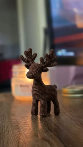 Enfeite de Natal