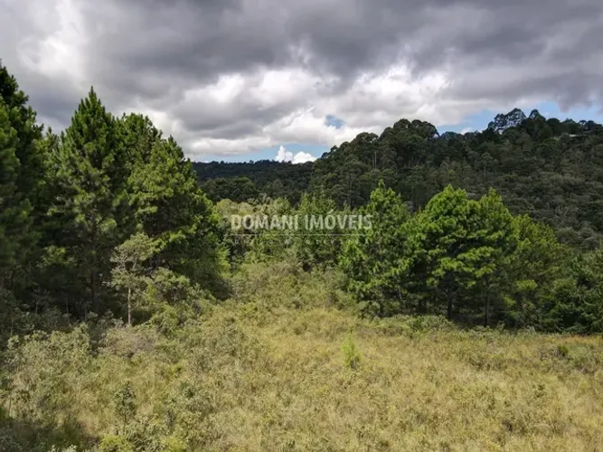 Ampla Área de Terreno à Venda na Região do Alto da Boa Vista - Campos do Jordão/SP