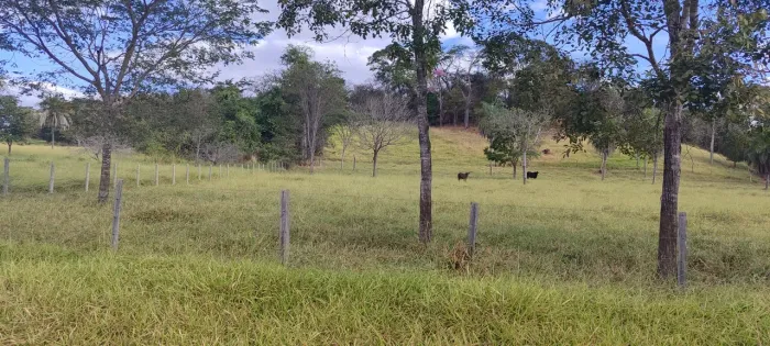 Chácara em Avelinópolis