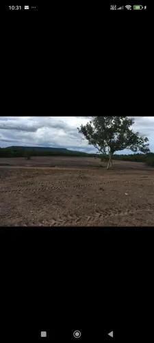 2 Fazendas de arrendamento 500hec. plantando em nova xavantina MT.