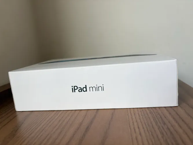 Ipad Mini 1