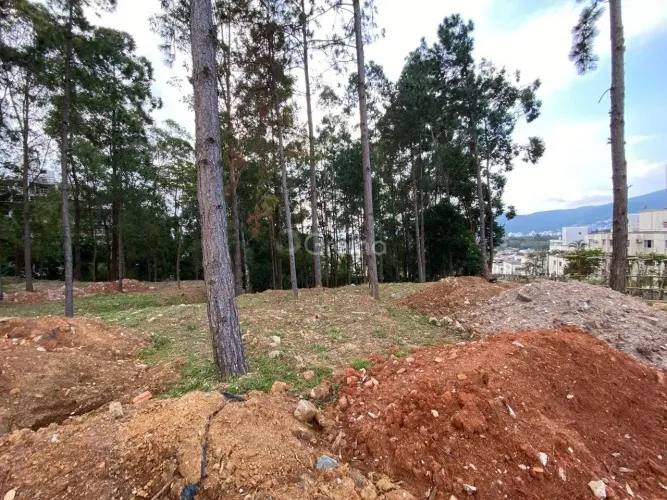 Terreno para Venda em Florianópolis, Pantanal