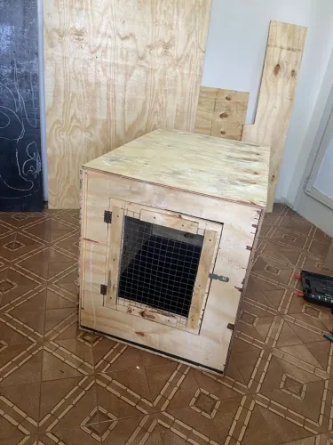 Caixa de transporte para pet