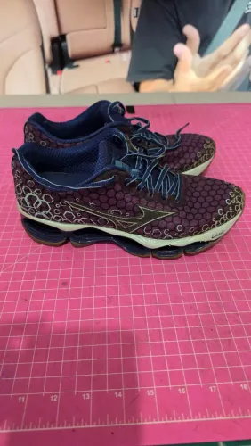 Mizuno prophecy 3