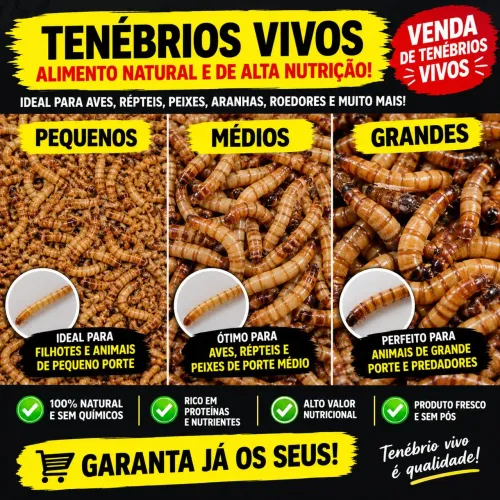 Tenebrios (( 0.10 centavos unidade ))