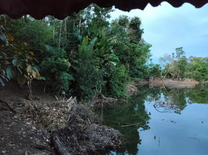 Chácara km 22/Sentido Jaci Paraná