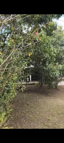 Rancho a venda