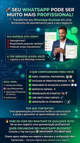 WhatsApp Business Profissional | Organize seu Atendimento e Venda Mais!