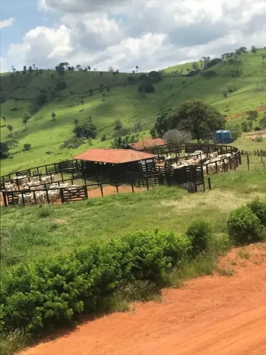 Fazenda a venda entre Itapira -SP e Jacutinga-MG