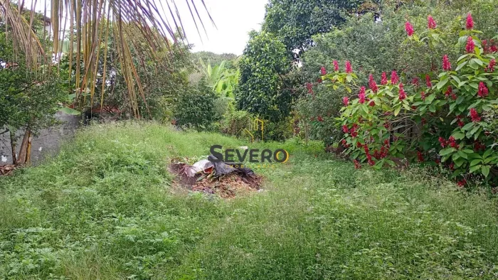 Terreno Plano Multifamiliar 675m² - Laranjal SG.