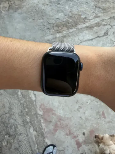 Apple Watch S8