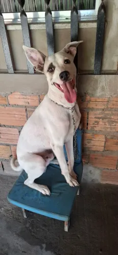 Doação