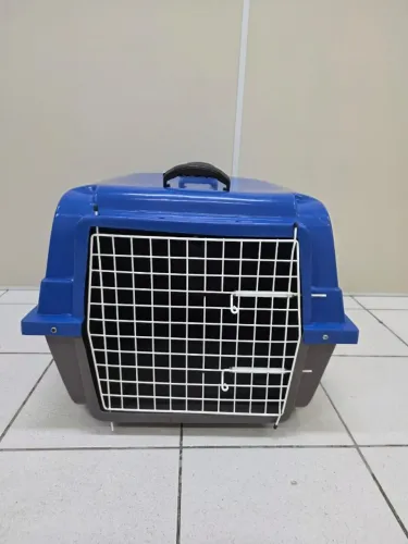 Caixa de transporte para cães de médio a grande porte, resistente e conservada