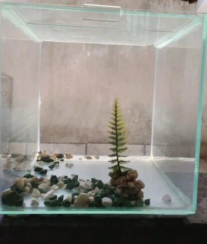 Vendo um kit aquário termostato  10 litros 