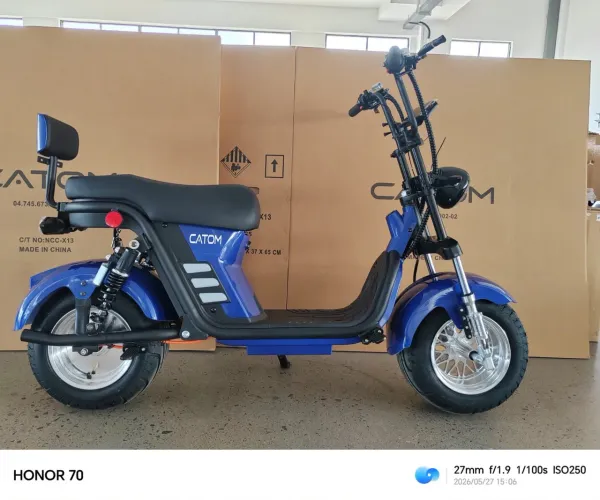 Scooter elétrica X13 Pro 