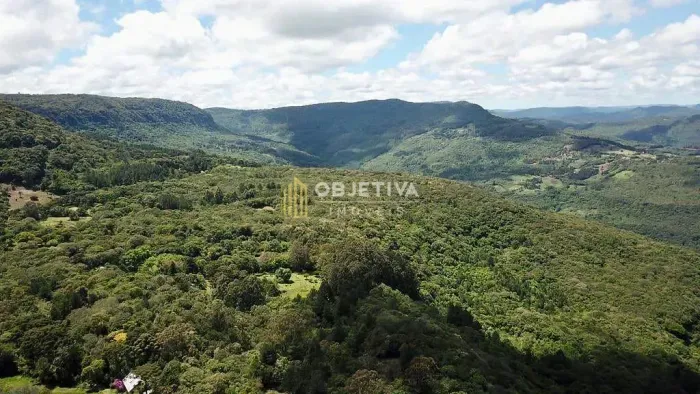 Sítio à venda, parada188, São Francisco de Paula, RS
