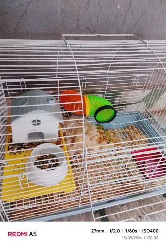 GAIOLA HAMSTER