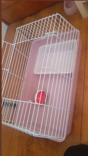 gaiola para coelho