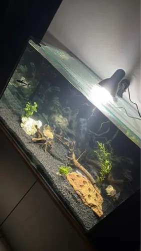 Aquario 200 litros