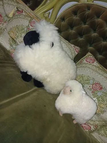 Kit pelúcias ovelhas Campos de Jordão 
