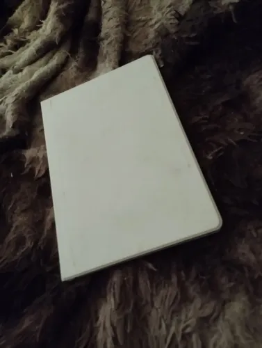 Tablet S10 FE 128/Wi-fi Completo