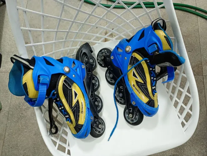 Patins