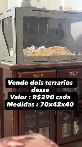 Terrario para roedores 