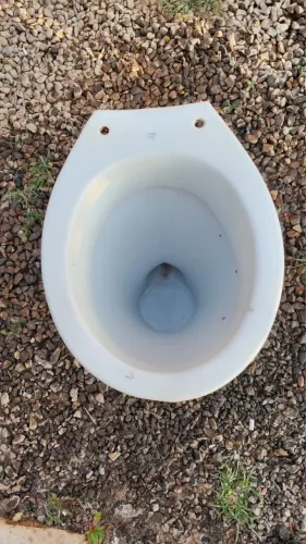 Vaso sanitário