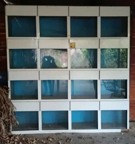 Vendo bateria comercial com 16 aquários integrados, ideal para exposição e venda de peixes