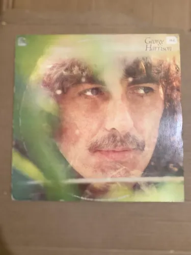 Vinil