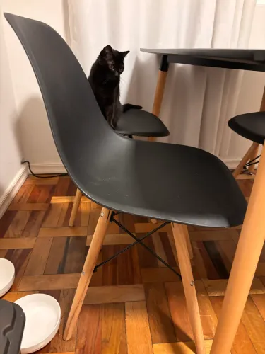 4 cadeiras estilo Eames pretas e pés de madeira