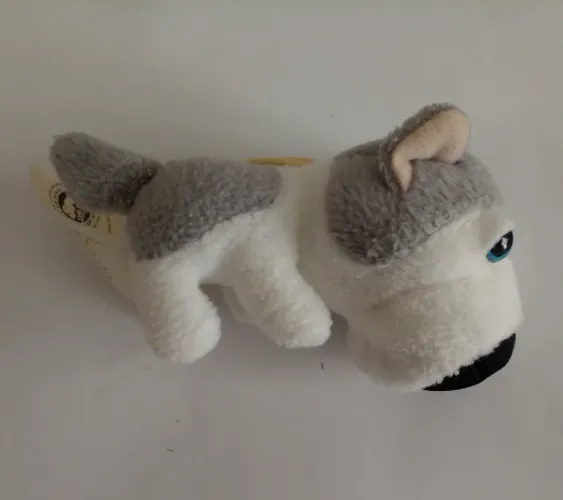 The Dog - HUSKY SIBERIANO