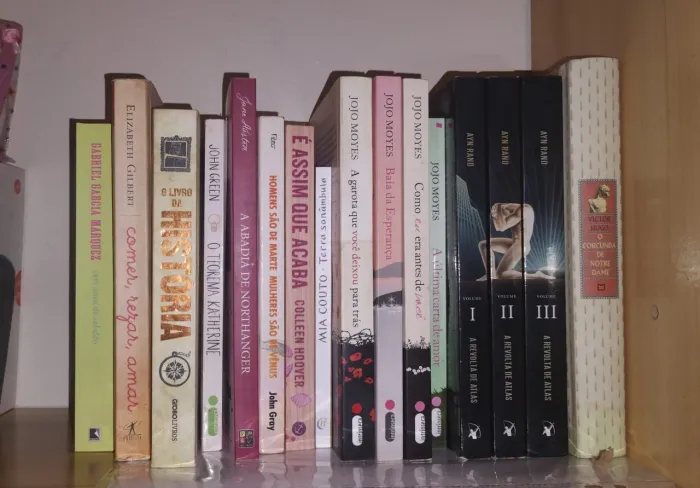 Lote de livros