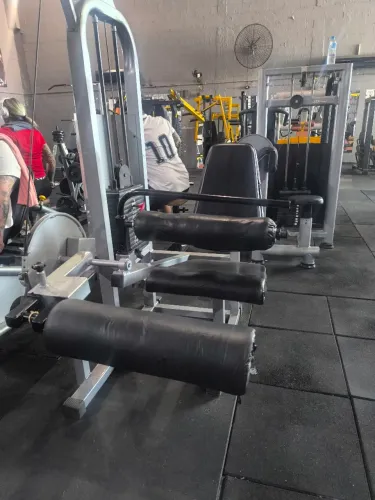 banco flexor sentado