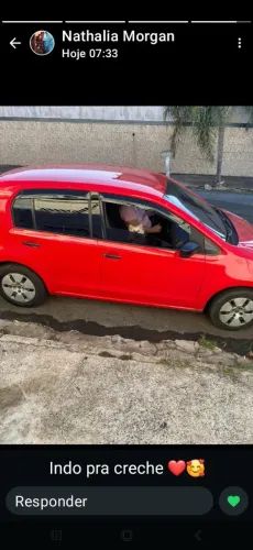 Táxi dog e uber particular