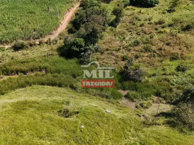 Chacara 6 alqueires (32,70 hectares) Anicuns - GO