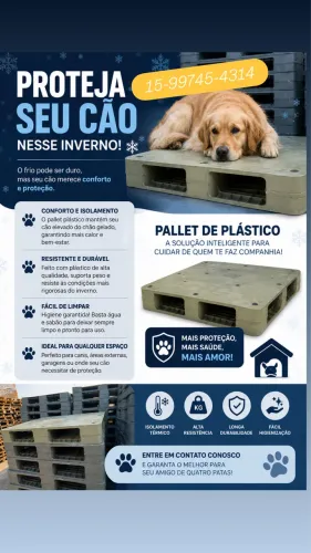 Cama pet pallet