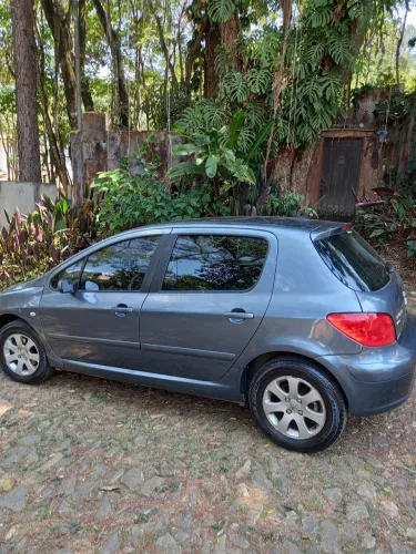 Peugeot 307 Feline/griff/premi. 2.0 Flex 5P Aut. 2007
