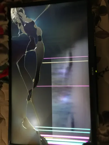 Televisão