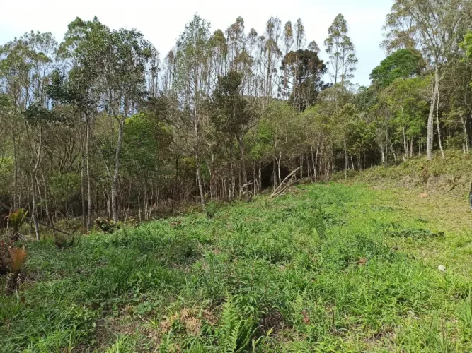 Sítio no Paraibuna - Cunha / SP