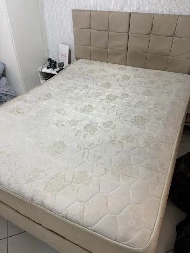 Cama