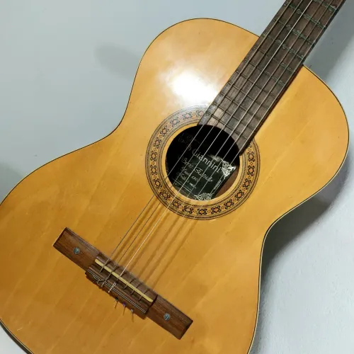 Violão Giannini Perfeito