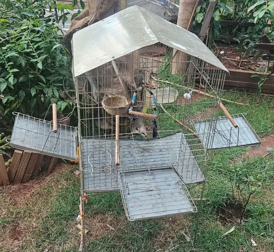 Vendo viveiro de pássaros.
