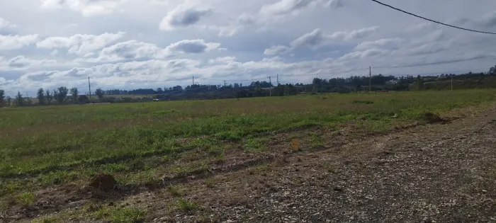 Terreno em condomínio em Quadra-SP