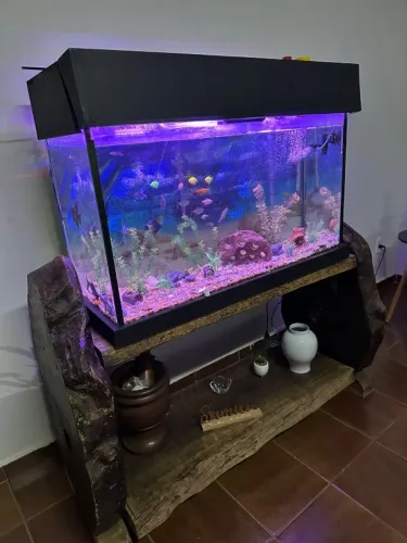 Aguarios 110com 39 larg 70 alt, mais moveis, madeira maciça. paga 1 e leva os dois