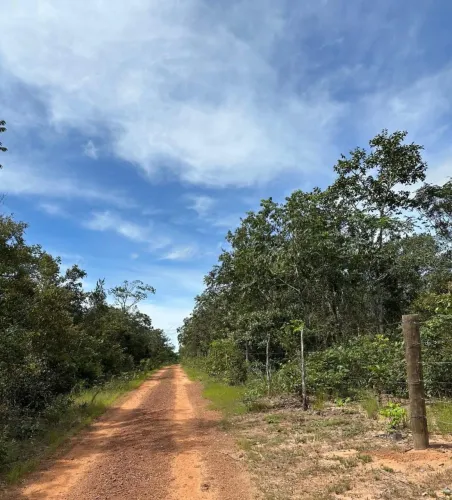 Vendo 1/2 alqueires de terra bruta