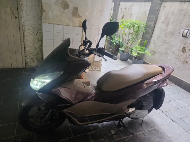 Pcx marrom