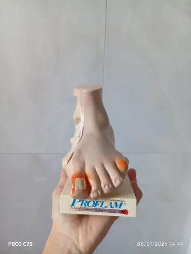 Modelo Anatômico do Pé Humano 