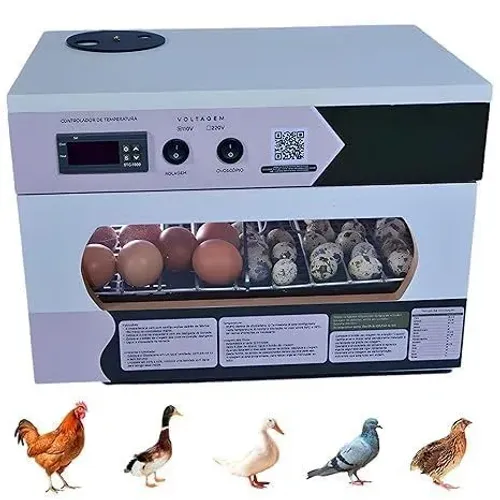 CHOCADEIRA 80 OVOS